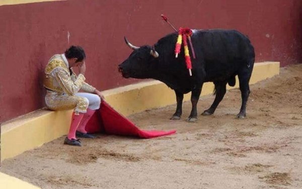 Матадора Альваро Мунеро