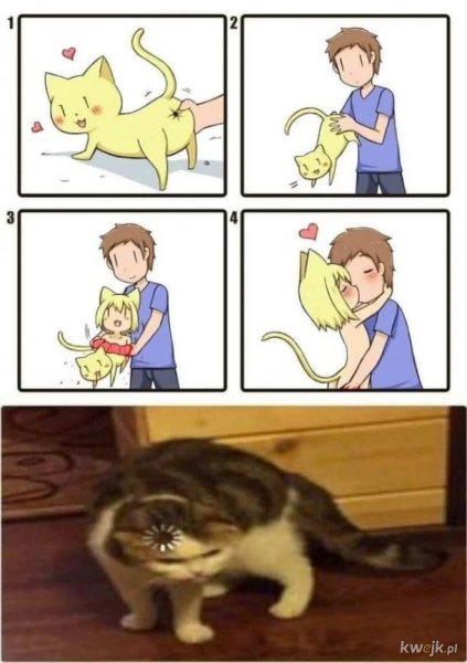 Аниме анекдоты