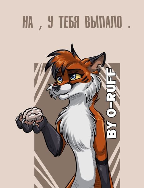 Фурри обиделся