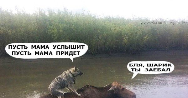 Пусть мамонт услышит пусть мамонт придет