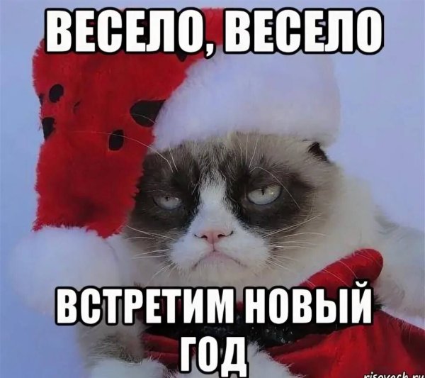 Весело весело встретим новый год