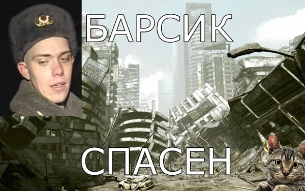 Спасение кота Барсика