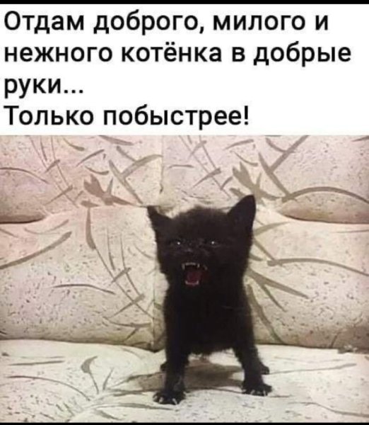Я В ярости