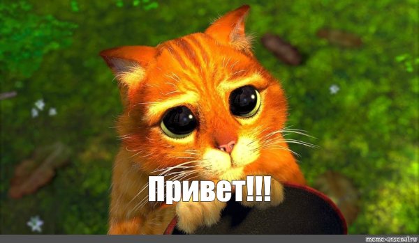 Кот из Шрека