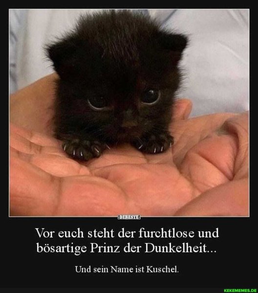 Я страх я ужас я