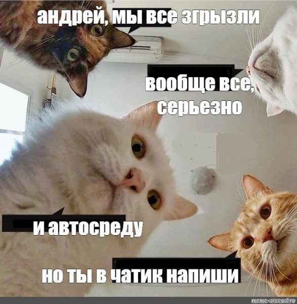 Настя вставай мы все уронили