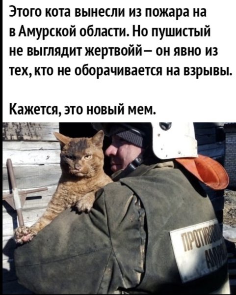 Пожарный спас кота