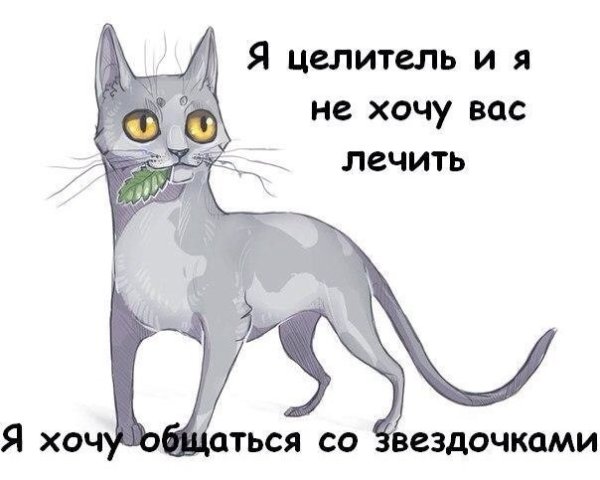 Коты Воители мемы про Целителей