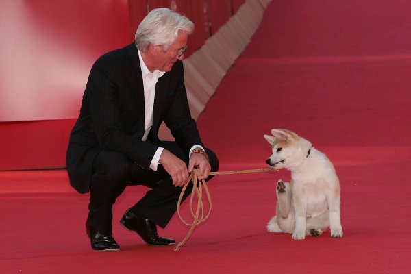 Ричард Гир Хатико Мем