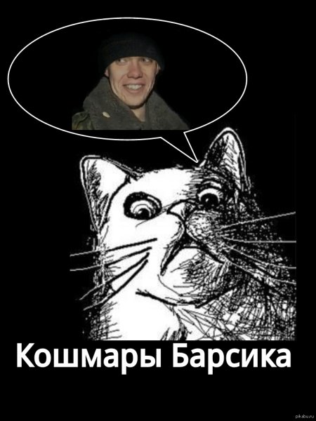 Спасение кота Барсика