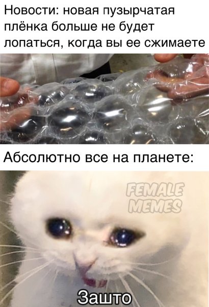 Мем кот пленка
