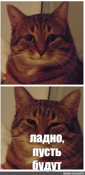 Котик ладно