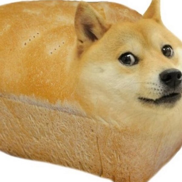 Собака из мема