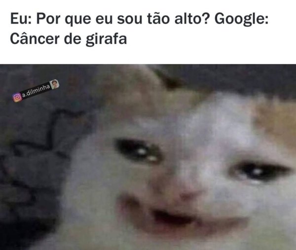 Котенок плачет Мем