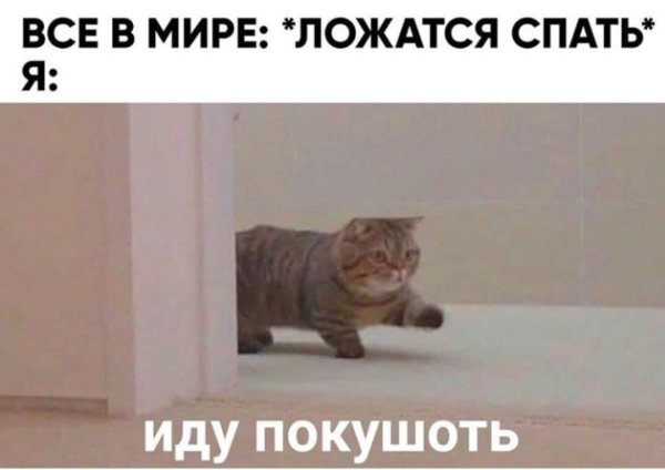 Кот хочет кушать Мем