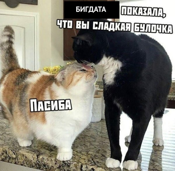 Смешные картинки