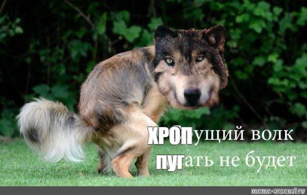 Мемы с волками