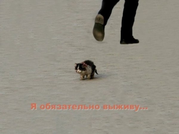 Я обязательно вызиву сем