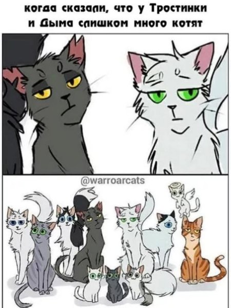 Коты Воители мемы