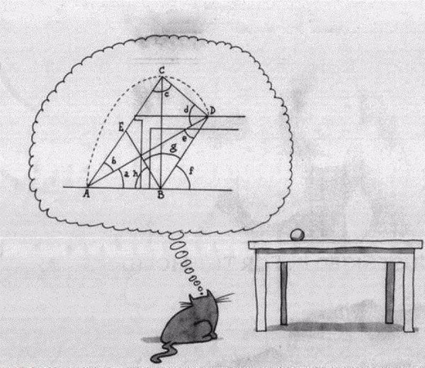 Кошка прыгает