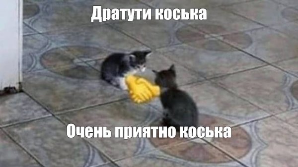 Коты пожимают руки