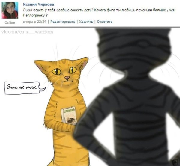 Коты Воители мемы