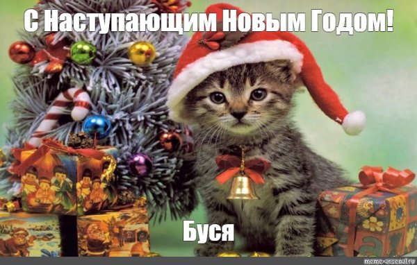 Новогодний котик Мем