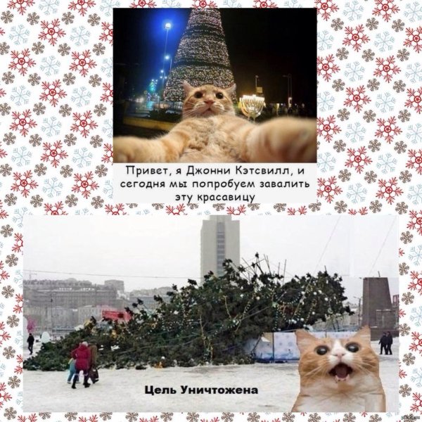 Джонни Кэтсвилл и собаки