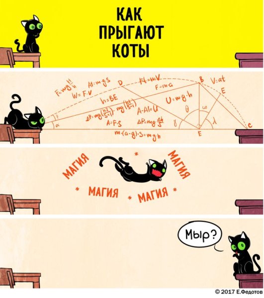 Кот рассчитывает прыжок