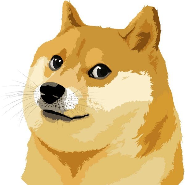 Doge собака