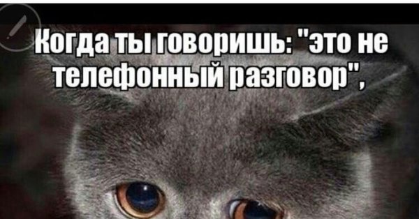 Разговор Мем