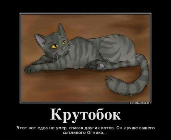 Коты Воители Крутобок