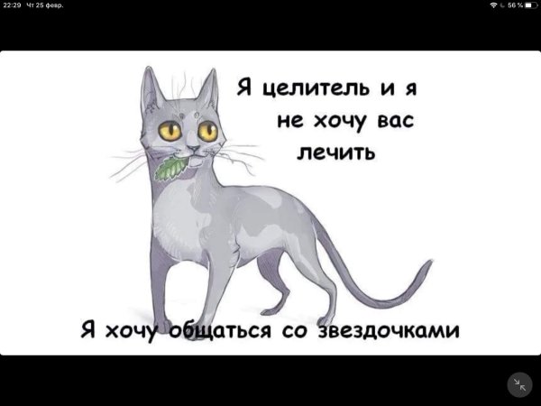 Коты Воители целители