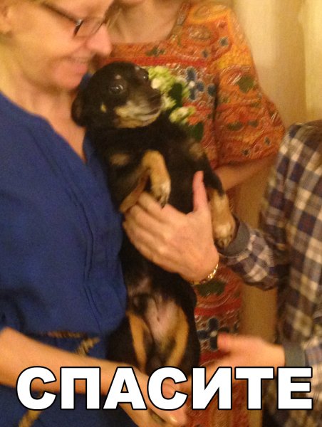 Спаси Мем