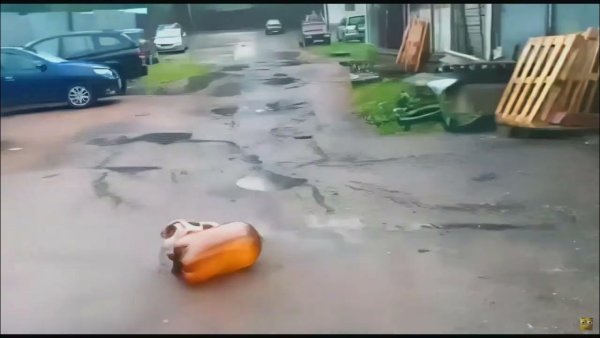 Собака после взрыва кеги