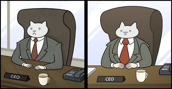 Кот в деловом костюме