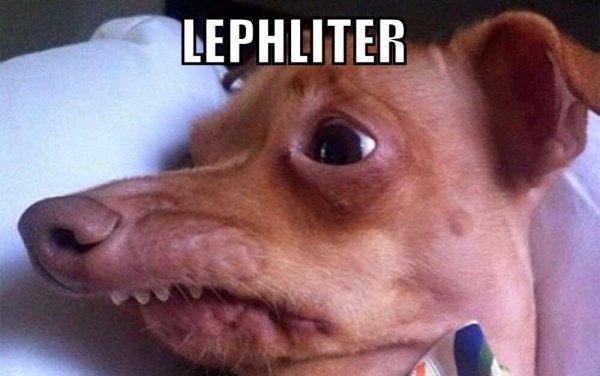 Собаку ужалила пчела Мем