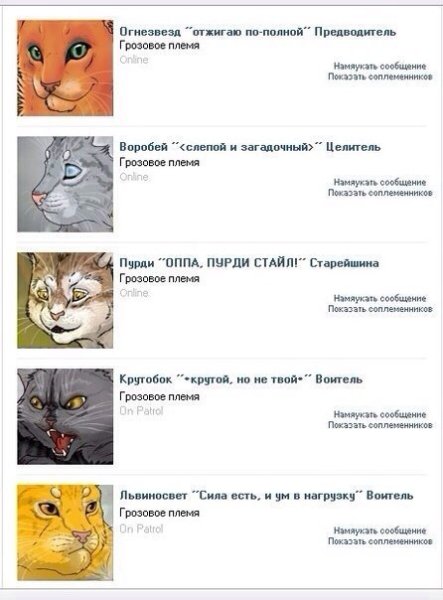 Коты Воители приколы