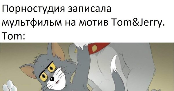 Кот том мемы