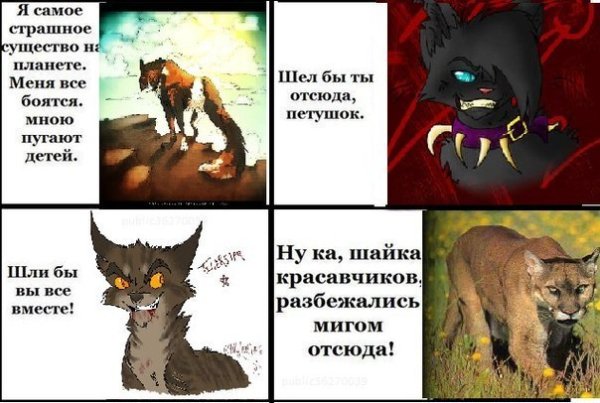 Коты Воители Звездоцап грозовое племя