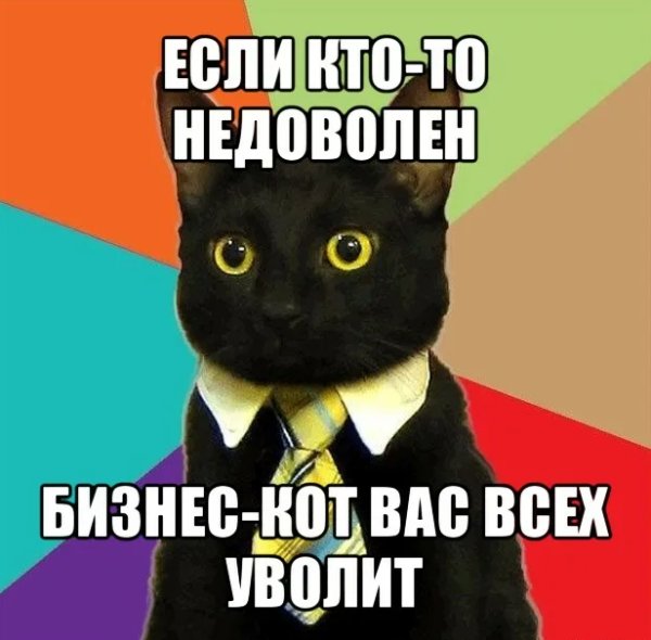 Мем бизнескот