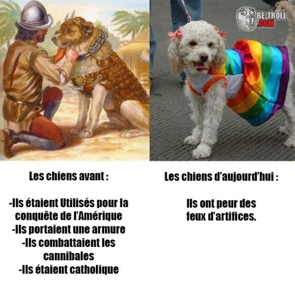 Собаки раньше и сейчас