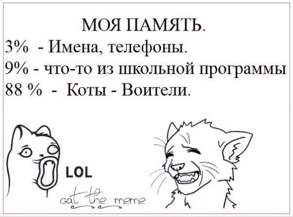 Комиксы про котов воителей смешные