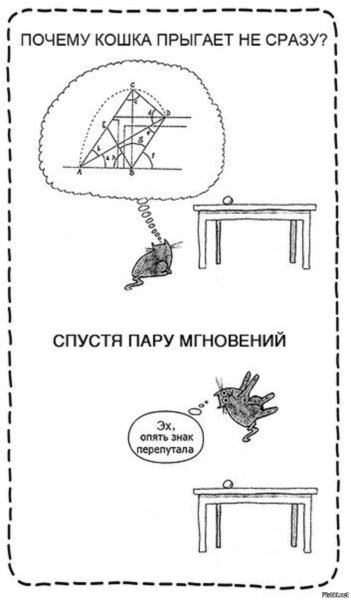 Почему кот прыгает не сразу