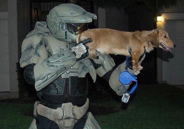 Собака с автоматом