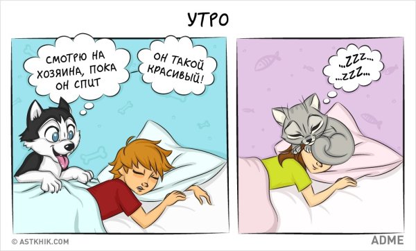 Комиксы про собак