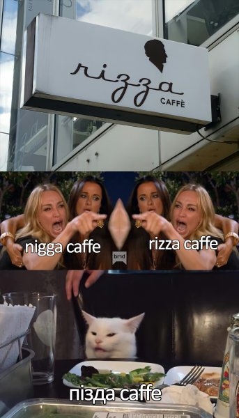 Мемы с котом за столом