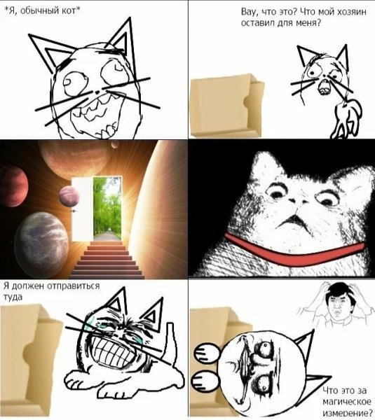 Мемы про котов