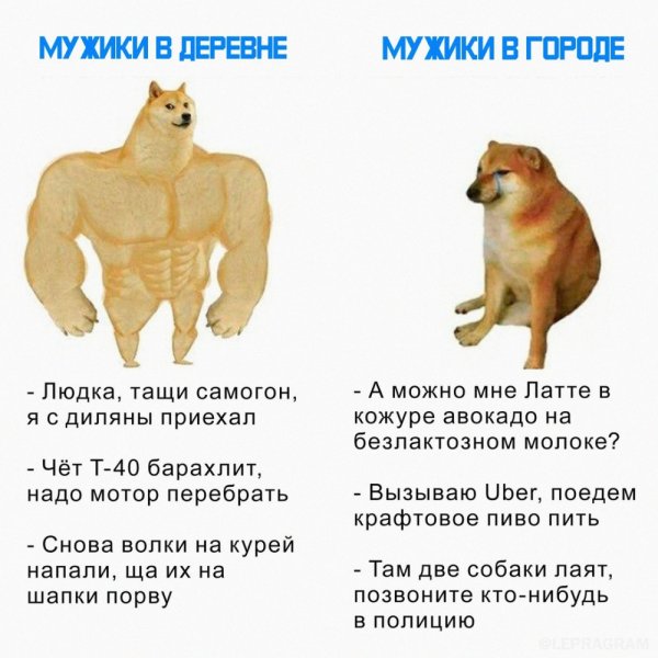 Сильная собака и слабая собака Мем