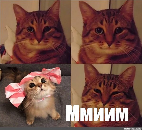 Кот Мем